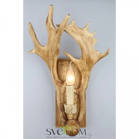 Настенные светильники OML-52011-01 Omnilux | Svetdom.by