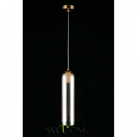 Подвесные светильники Aployt APL.325.26.01 от Магазина Svetdom.by