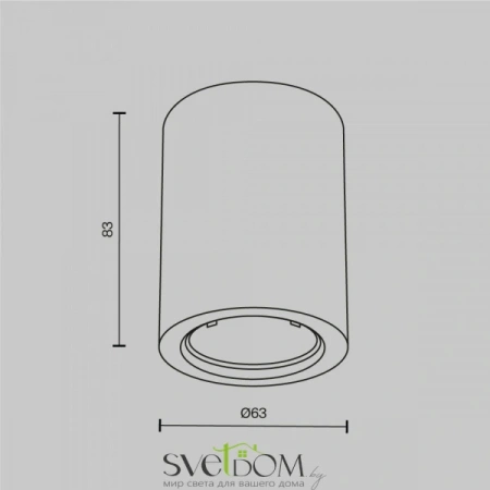 Потолочные светильники Maytoni C001CL-GU10-W от Магазина Svetdom.by
