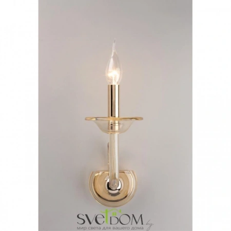 Настенные светильники APL.730.01.01 Aployt | Svetdom.by