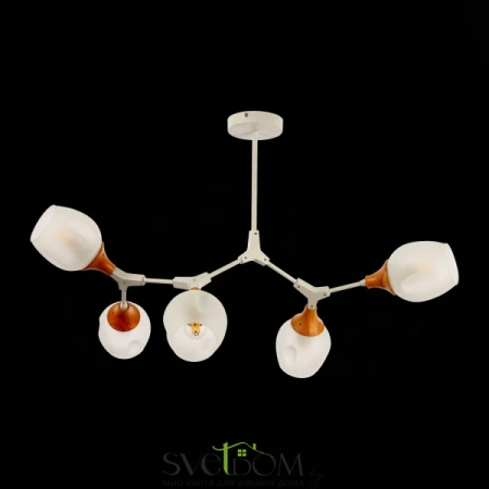 Потолочные светильники EVOLUCE SLE113502-05 от Магазина Svetdom.by