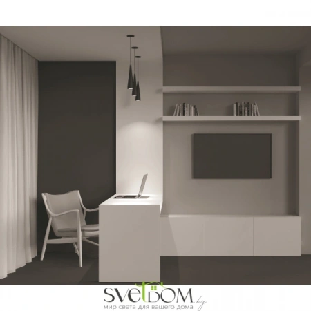 Подвесные светильники Maytoni P318PL-01B от Магазина Svetdom.by