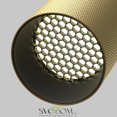 Фото Встраиваемые светильники Maytoni C081CL-01-GU10-MG Встраиваемые светильники Maytoni C081CL-01-GU10-MG от Магазина Svetdom.by