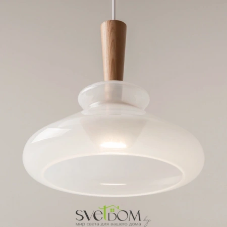 Подвесные светильники Maytoni MOD405PL-01W от Магазина Svetdom.by