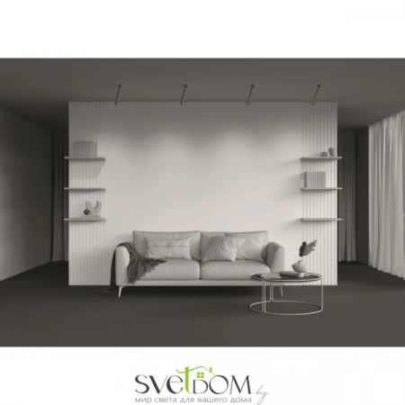 Встраиваемые светильники Maytoni C141RS-L300-6W3K-BBS от Магазина Svetdom.by