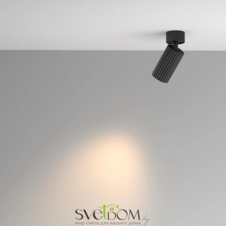 Потолочные светильники Maytoni C108CL-01-GU10-B от Магазина Svetdom.by