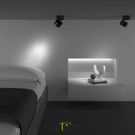 Потолочные светильники Maytoni C084CL-15W3K-B от Магазина Svetdom.by