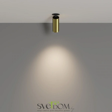 Потолочные светильники Maytoni C053CL-L12W4K-W-BS от Магазина Svetdom.by