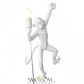 Светильник настенный (Бра) Aployt  APL.309.01.01