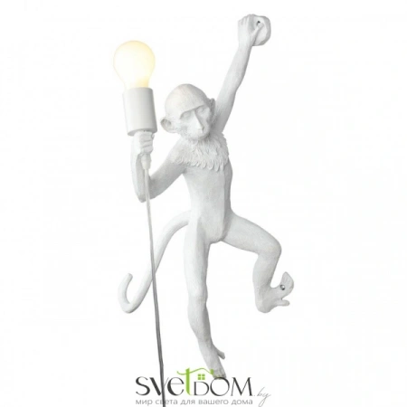 Настенные светильники APL.309.01.01 Aployt | Svetdom.by