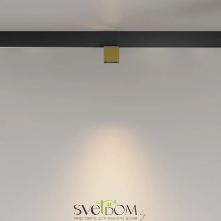 TR133-2-7W3K-BS Maytoni