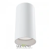 Фото Потолочные светильники Maytoni C010CL-01W Потолочные светильники Maytoni C010CL-01W от Магазина Svetdom.by