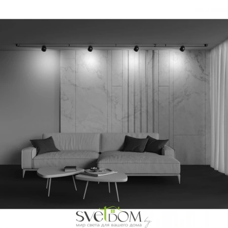 TR124B-12W4K-B Maytoni