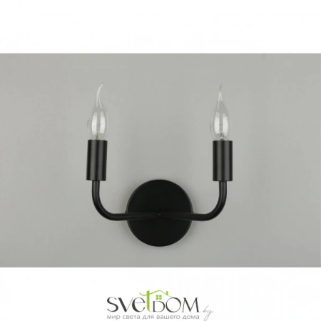 Настенные светильники APL.338.11.02 Aployt | Svetdom.by