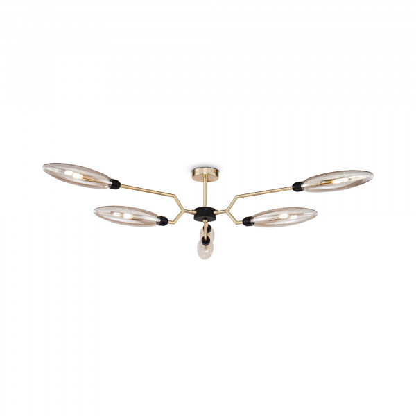 Потолочный светильник Maytoni MOD012CL-06G