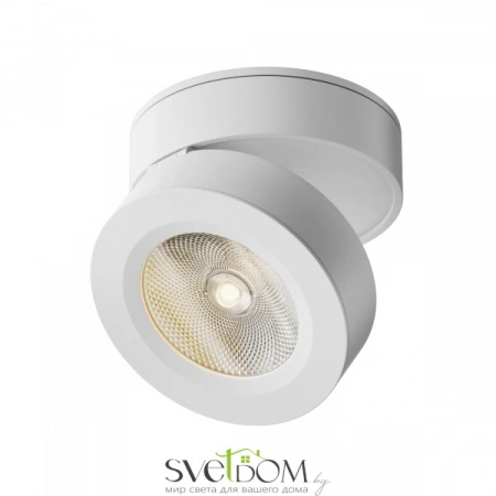 Потолочные светильники Maytoni C022CL-L7W от Магазина Svetdom.by