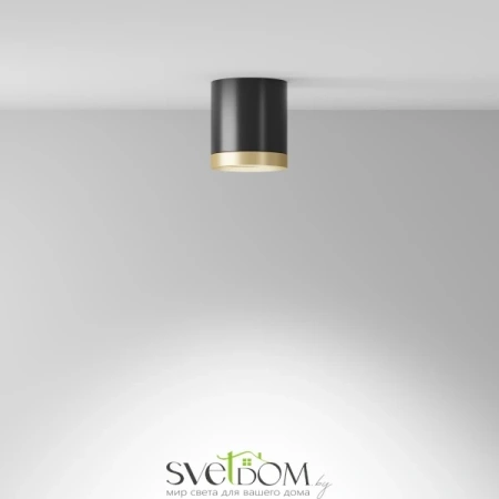 Потолочный светильник Technical C086CM-GX53-MRD-BG Maytoni