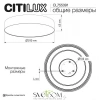 Накладные светильники CITILUX CL755391 от Магазина Svetdom.by