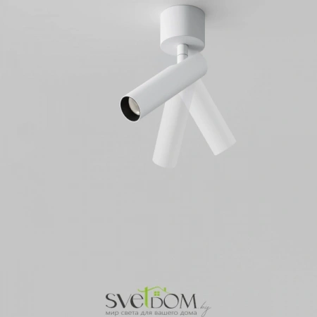 Потолочные светильники Maytoni C141CL-L125-6W4K-W от Магазина Svetdom.by