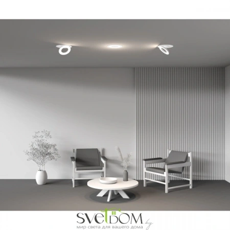 Встраиваемые светильники Maytoni DL102-12W4K-W от Магазина Svetdom.by