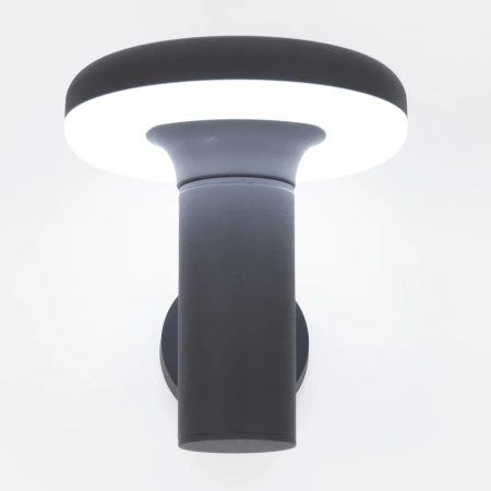 Уличный настенный светильник Citilux GARDA CLU01W CITILUX