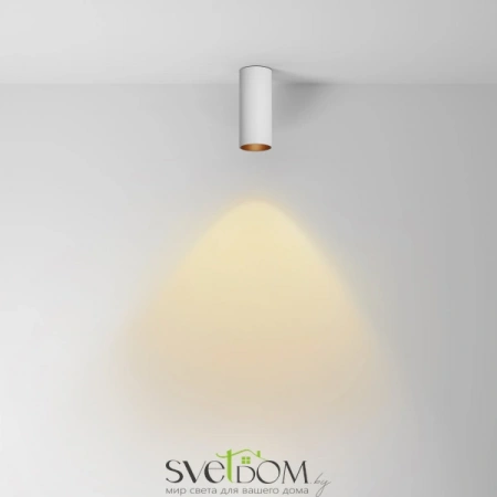 Потолочные светильники Maytoni C056CL-L12W2.7K-W-W от Магазина Svetdom.by