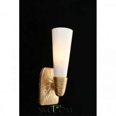 Настенные светильники APL.800.01.01 Aployt | Svetdom.by