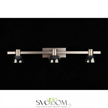 Настенные светильники APL.788.01.03 Aployt | Svetdom.by