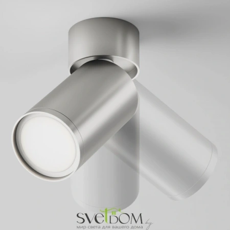 Потолочные светильники Maytoni C050CL-U-1S от Магазина Svetdom.by