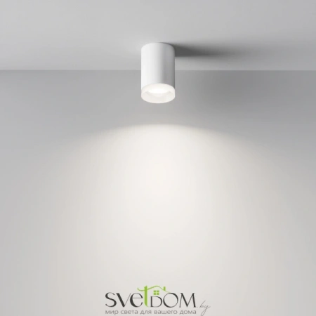 Потолочные светильники Maytoni C008CW-01W от Магазина Svetdom.by