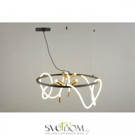 Люстры подвесныеAPL.066.03.70 Aployt | Svetdom.by