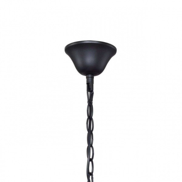 Люстры подвесные2169-5P Favourite | Svetdom.by