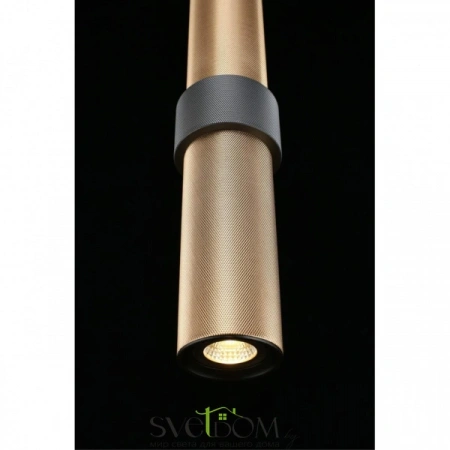 Подвесные светильники Aployt APL.614.16.01 от Магазина Svetdom.by