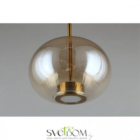 Подвесные светильники Aployt APL.057.06.12 от Магазина Svetdom.by