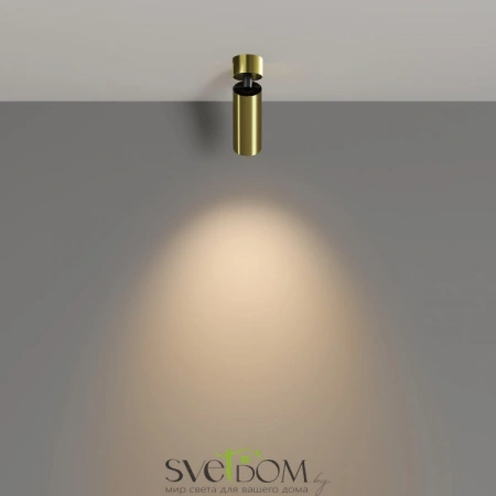 Потолочные светильники Maytoni C055CL-L12W3K-W-BS от Магазина Svetdom.by