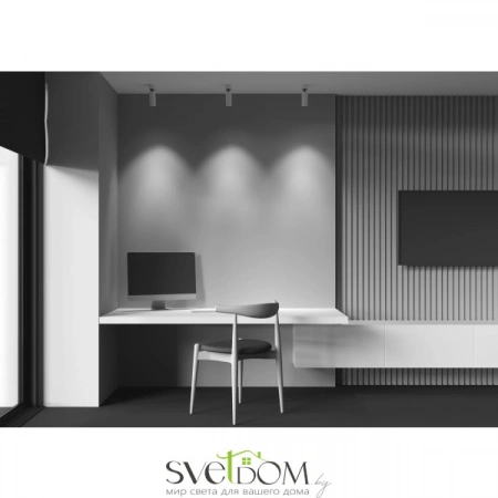 Потолочные светильники Maytoni C055CL-L12W2.7K-W-W от Магазина Svetdom.by