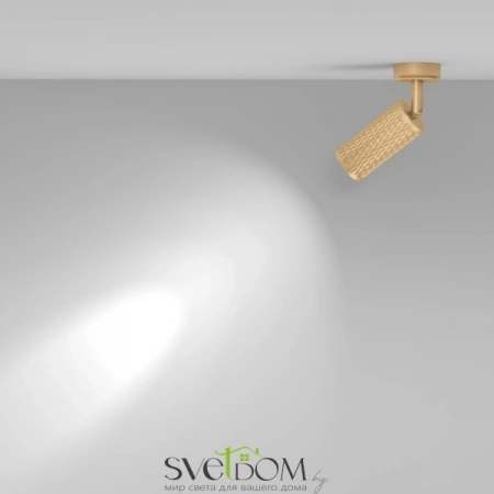 Потолочные светильники Maytoni C034CL-01G от Магазина Svetdom.by