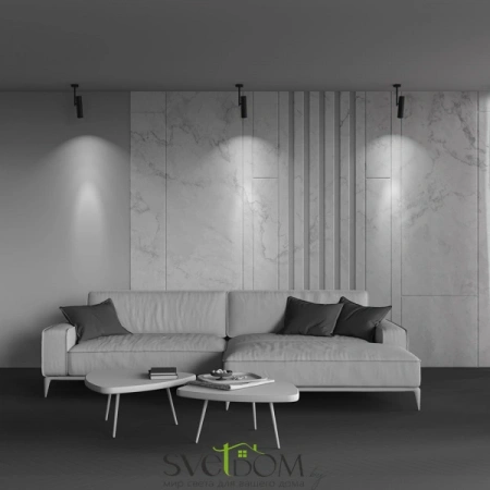 Фото Потолочные светильники Maytoni C020CL-01B Потолочные светильники Maytoni C020CL-01B от Магазина Svetdom.by