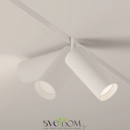 TR032-2-20W3K-S-W Maytoni