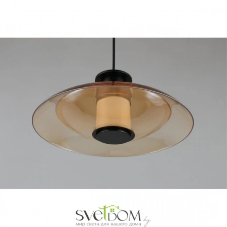 Подвесные светильники Aployt APL.648.16.10 от Магазина Svetdom.by