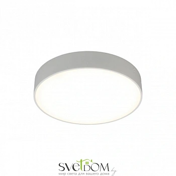 Светильник настенно-потолочный Aployt  APL.0114.09.24