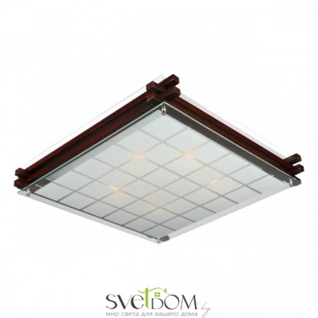 Настенно-потолочные светильники Omnilux OML-40507-05 от Магазина Svetdom.by