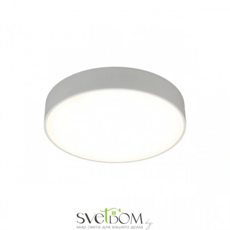 Настенно-потолочные светильники Aployt APL.0114.09.24 от Магазина Svetdom.by