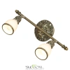 Спот Lussole Furlo LSL-7301-02 E14 Lussole