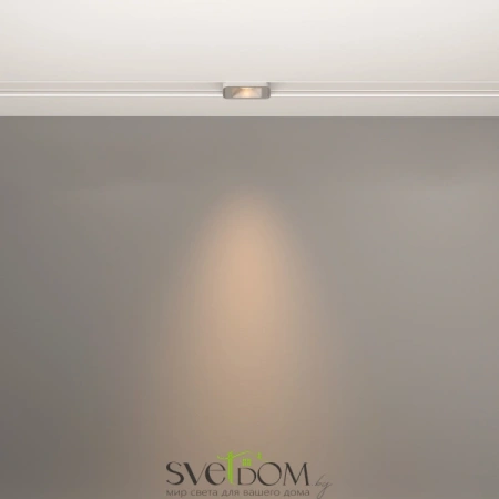 Трековый светильник Technical TR100-2-2W3K-S-W Maytoni