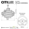 Люстры подвесныеCL315161 CITILUX | Svetdom.by