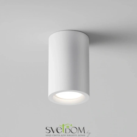 Потолочные светильники Maytoni C003CW-01W от Магазина Svetdom.by