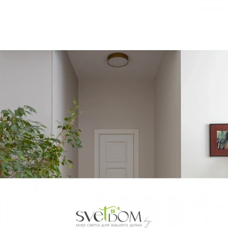 Потолочные светильники Maytoni C032CL-36W4K-RD-MG от Магазина Svetdom.by