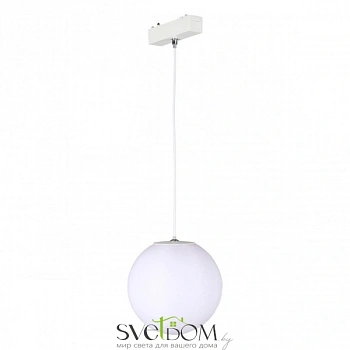 Светильник трековый Aployt  APL.0124.10.06