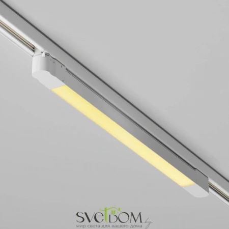 TR196-3-20W2.7K-W Maytoni